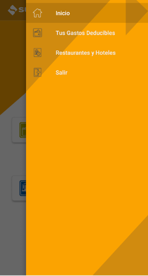 Personas SUNAT Screenshot 2