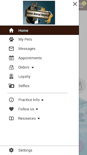 DAH Vet Screenshot 1