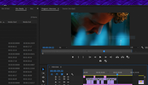 Adobe Premiere Rush Tutorial Screenshot 2