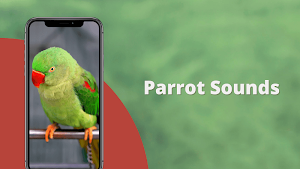 Parrot Sounds - Natural Parrot Sounds Ringtone Screenshot 0