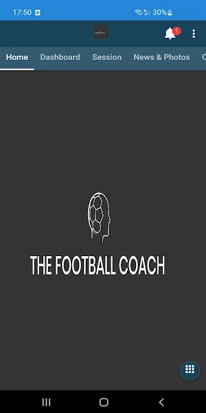 The Football Coach Screenshot 1