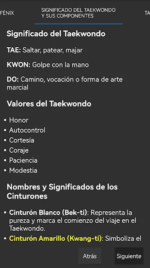 TKD FENIX Screenshot 2