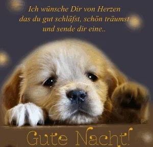 Gute Nacht Bilder Screenshot 2