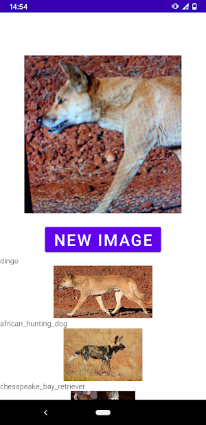 Dog breed identifier Screenshot 1
