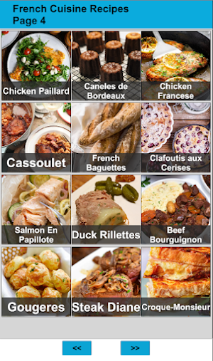 120 French Cuisine Recipes Screenshot 3