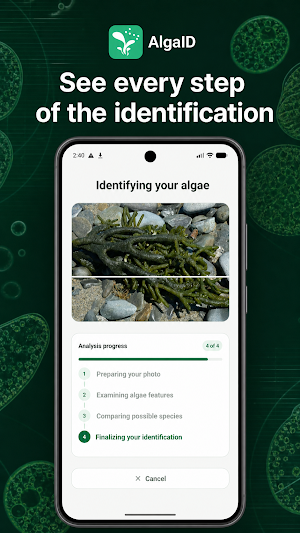 AlgaID Screenshot 2