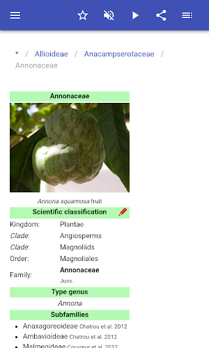 Botanical families Screenshot 3
