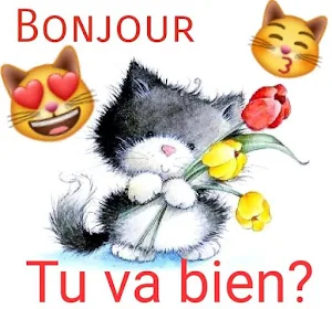 Bonjour Bonne Soirée bonneNuit Screenshot 0