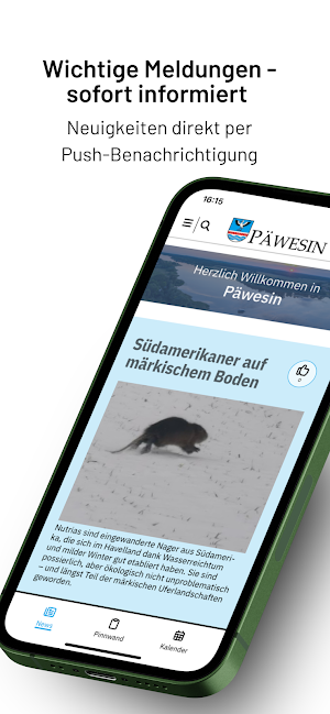 Päwesin Screenshot 1
