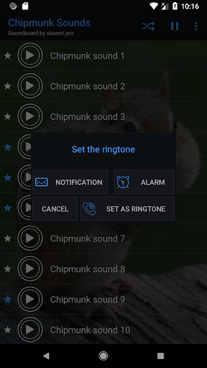 Chipmunk Sounds ~ Sboard.pro Screenshot 2