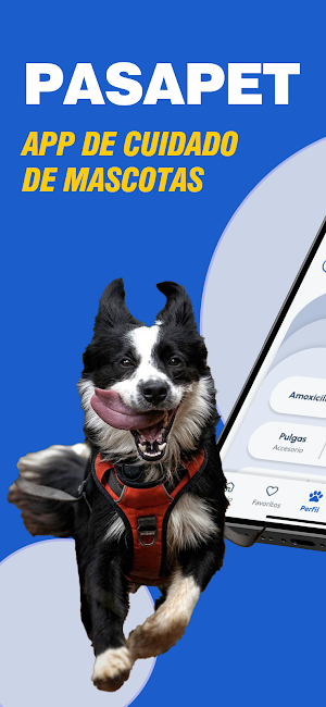 Pasapet Screenshot 0