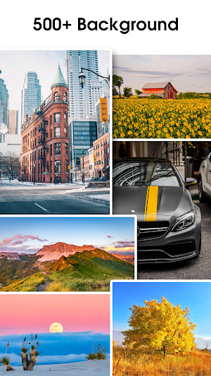Auto Background Changer Screenshot 1