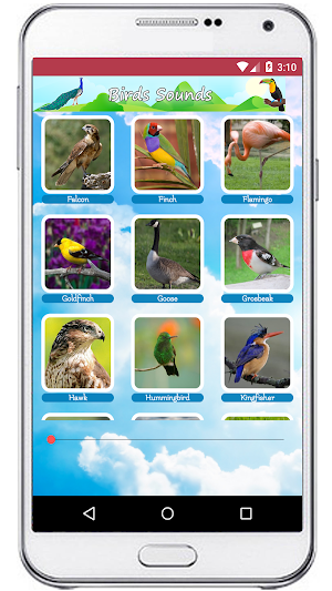 Birds Sounds Ringtones Screenshot 2