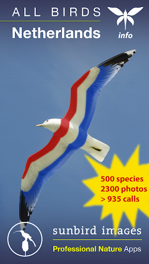 All Birds Netherlands - A Sunbird Field Guide Screenshot 0