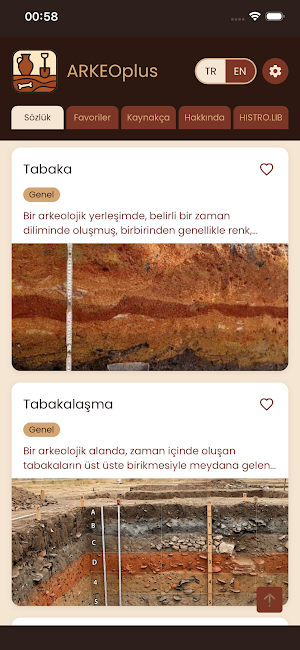 ARKEOplus Screenshot 2