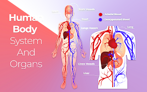 Body System & Anatomy Learning Screenshot 0