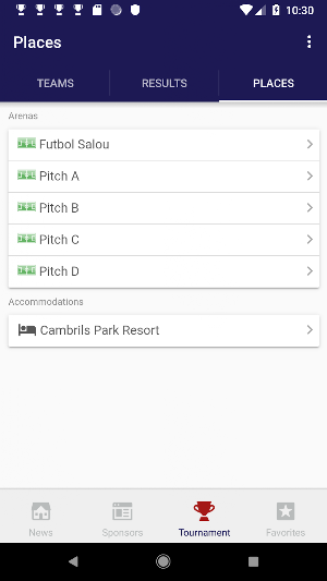 WSG Football Cup Screenshot 2
