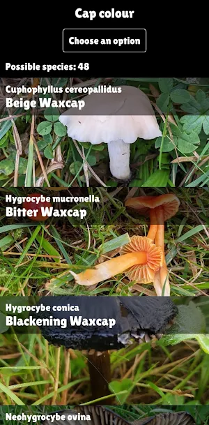 Peachy Steve's UK Waxcaps Screenshot 1