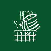 Federación Vasca Voleibol