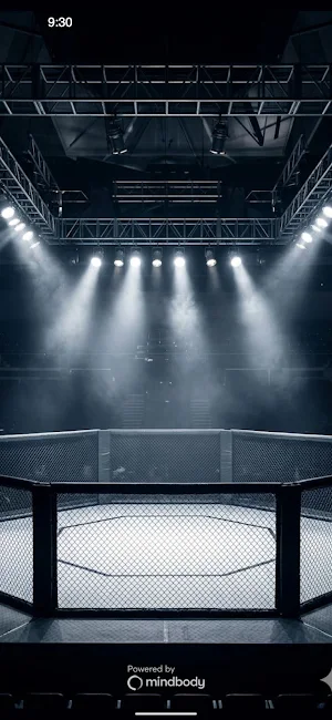 MMA District Screenshot 0