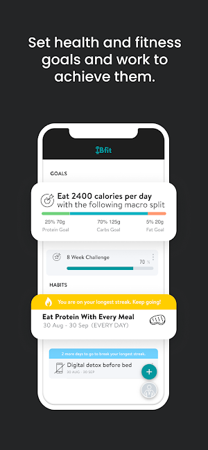 IBfit Screenshot 2