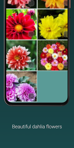 Mother's Day Flowers Screenshot 1