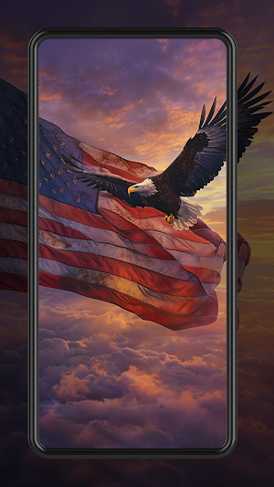 American Flag Wallpapers HD Screenshot 3