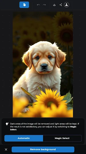 Zoner AI Editor Screenshot 1