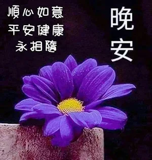晚安 Screenshot 3
