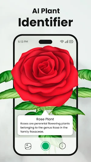 Plantology: Plant Identifier Screenshot 0