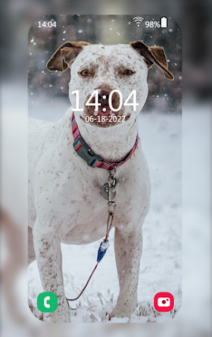 Pitbull Wallpapers Screenshot 3