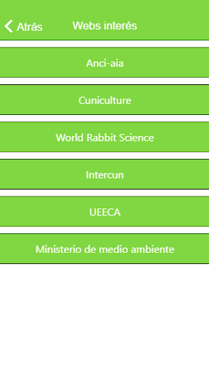 Asescu Screenshot 2