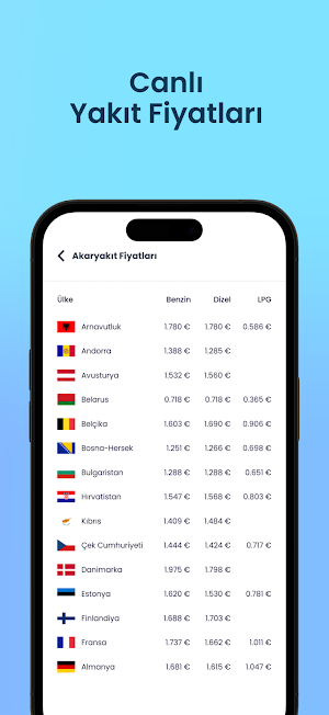 Avrupa Türkiye Yolu Screenshot 3