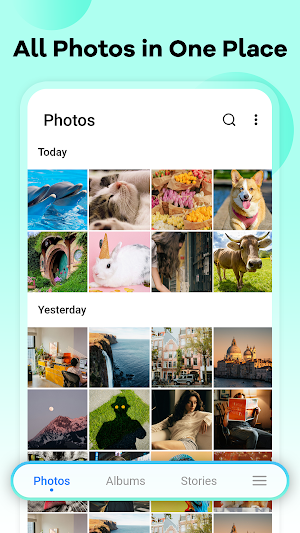 Gallery - Photo Vault, Album Screenshot 1