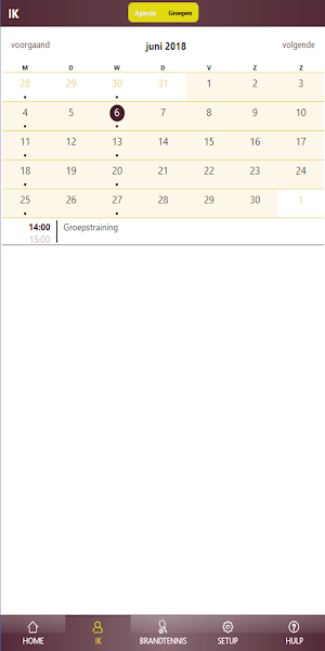 Brandtennis Screenshot 2