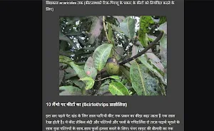 mango cultivation Screenshot 0