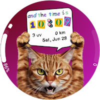 Time is Cat Watch Face Wear Os