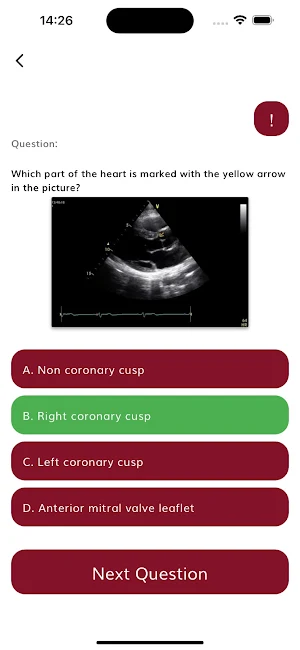 Cardiology Cases: ECG Quiz App Screenshot 3
