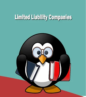 Limited Liability Companies (LLC) Screenshot 3