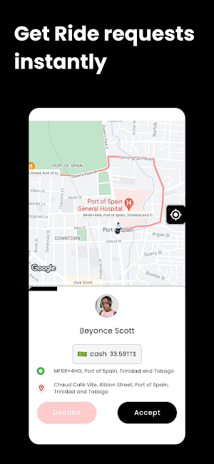 DAD Driver Screenshot 1
