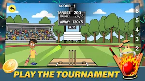 Indian Cricket Team Screenshot 0