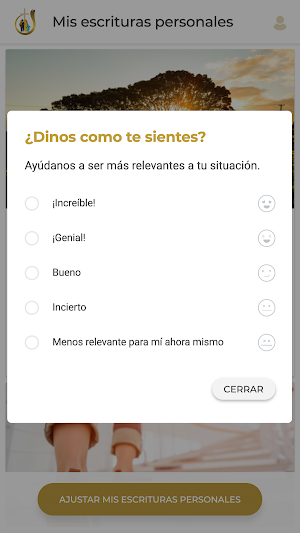 CENTRO DE RESTAURACION Screenshot 3