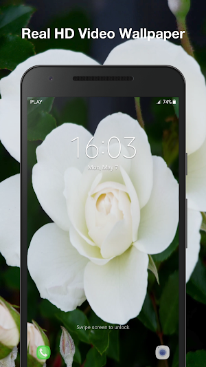 White Rose Live Wallpaper Screenshot 2