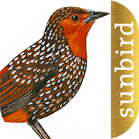 All Birds Northern South Ameri