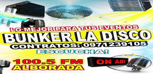 RADIO ALBORADA FM 100.5 Screenshot 2