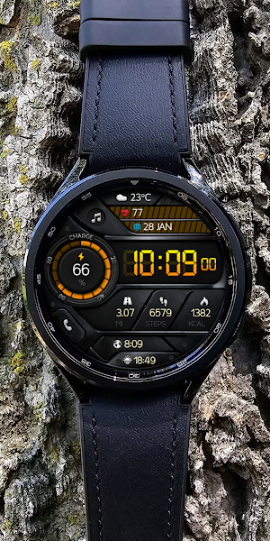 OBSERVER WS01 Watch face Screenshot 2