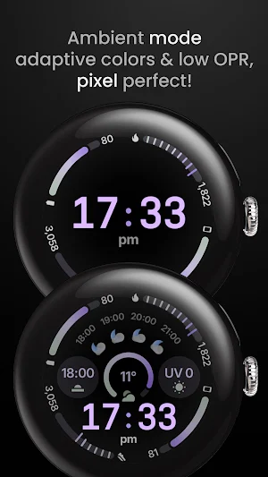 Circle Dashboard Watch Face Screenshot 3