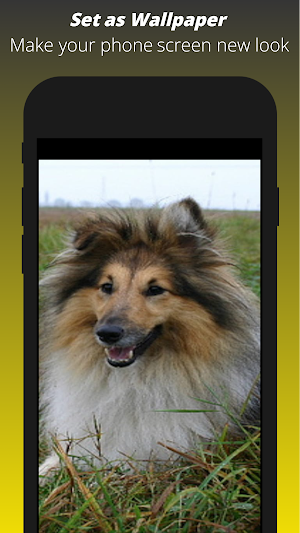 Dog Wallpaper HD Screenshot 3
