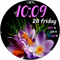 Butterfly 2 Animated Watchface