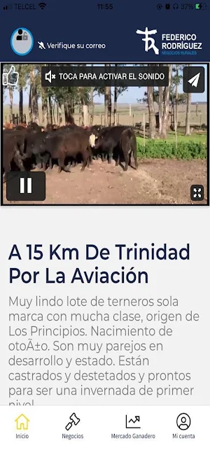 Federico Rodríguez Screenshot 2